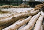 De bouw van het Slifferthuis - 2