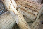 De bouw van het Slifferthuis - 26