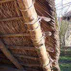 Voor een dak van 250 vierkante meter zijn 2500 bosjes riet nodig met een omtrek van 50 cm, dat is maar liefst 5 hectare riet nodig.