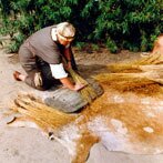 Vlas over de hekel halen (klik voor een uitvergroting)