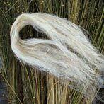 Begin- en eindproduct: vlas met linnenvezels (klik voor een uitvergroting)